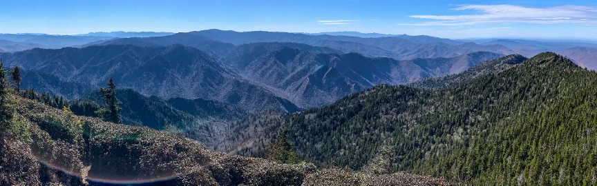 10 Best Hikes in the Great Smoky Mountain National Park
