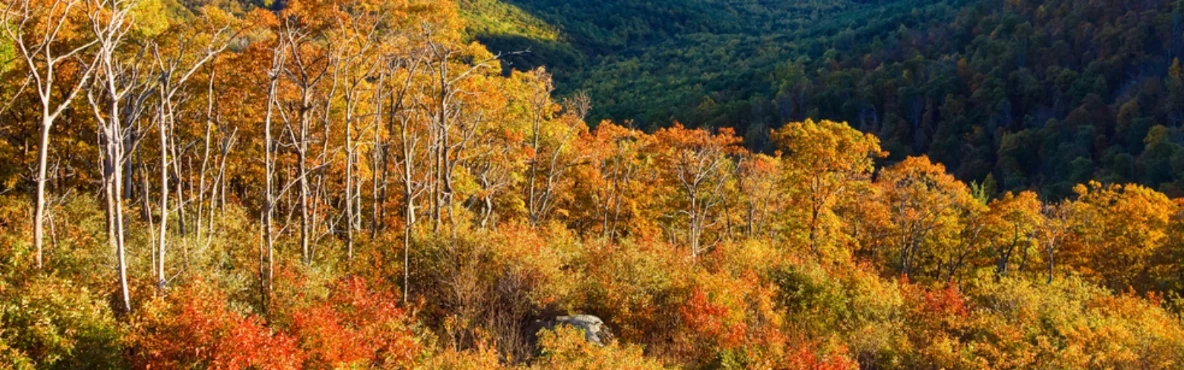 9 U.S. Destinations That Transport You Straight to Europe!