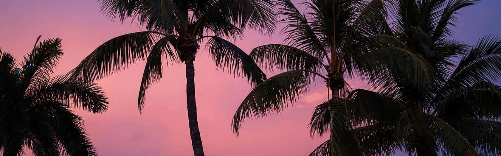 A Comprehensive Guide To Miami, Florida