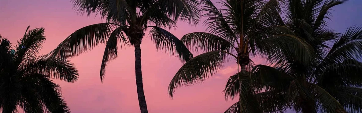 A Comprehensive Guide To Miami, Florida