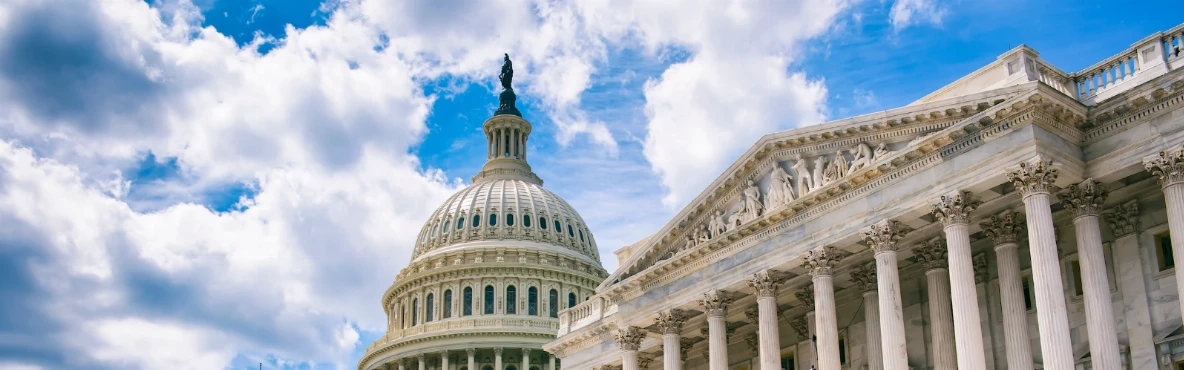 A Trip to Washington, DC From New York