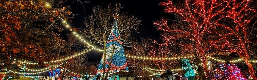 Best U.S. Cities to Visit for a Magical Christmas Experience