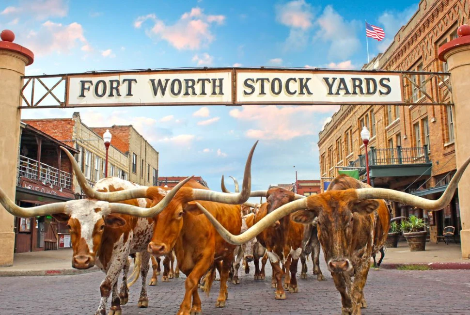 Fort Worth Travel Guide: Explore the Best of the City