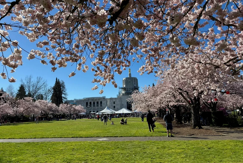 Let’s Step Into the Mesmerizing Cherry City - Salem!