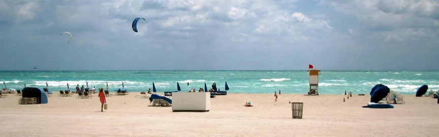 Miami 2026 FIFA World Cup Travel Guide: Matches, Transport & What to Do