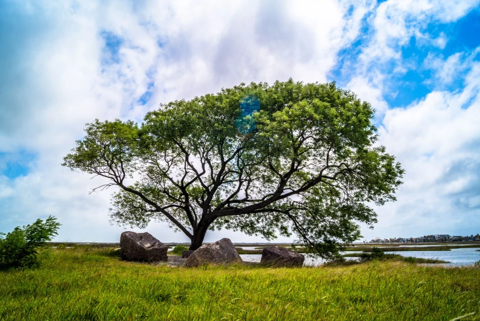 Galveston Park