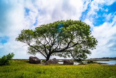 Galveston Park