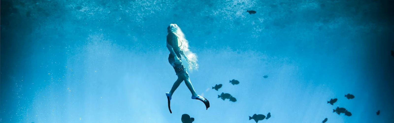 Texas Scuba Diving: Ultimate Guide for Safe Exploration