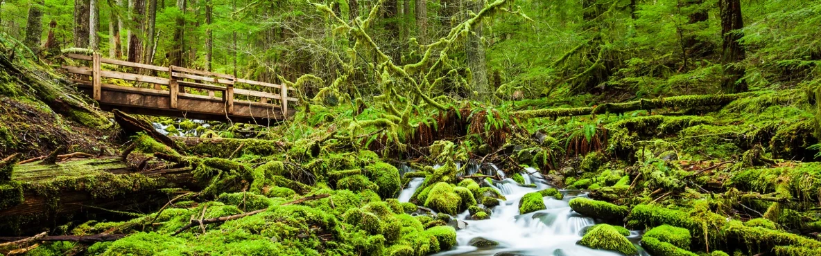 Top 20 National Parks in the USA