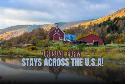 Unusual Farm Stays Across the U.S.A