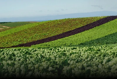 Watsonville - Heart of California: