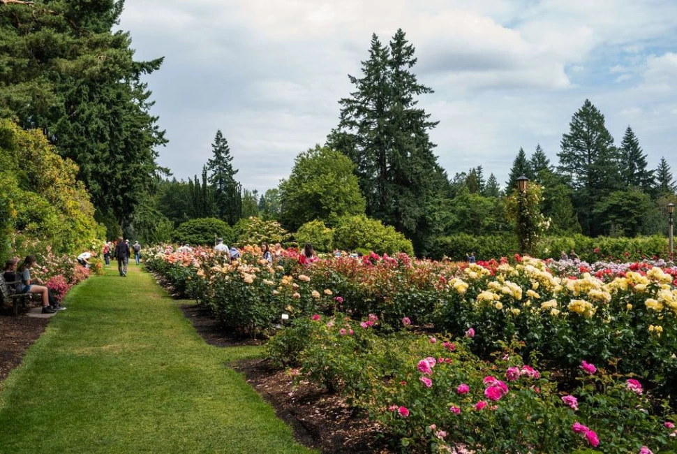 Welcome Yourself in The Wonders of Roses City - Portland!