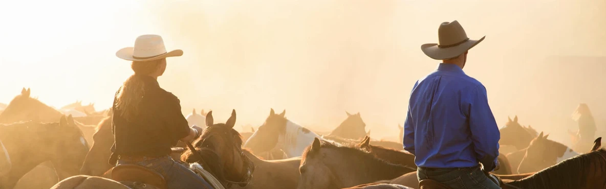 Where To Experience Cowboy Culture In the USA?