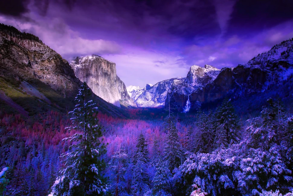 Yosemite National Park