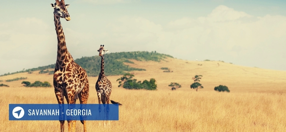 Best Romantic Getaways in the USA - Savannah