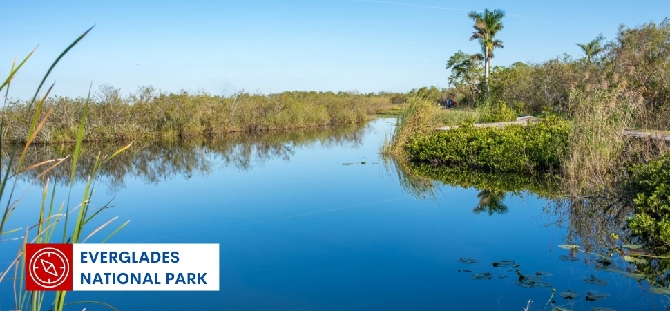 Everglades National Park - Florida vacation destination