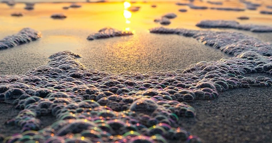 Nantucket