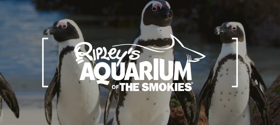 Ripley’s Aquarium of the Smokies
