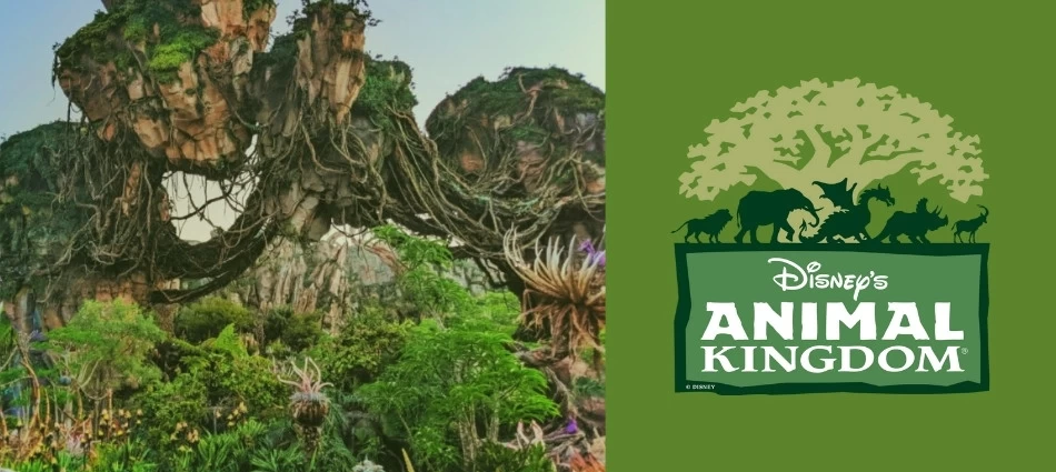 Disney's Animal Kingdom Theme Park