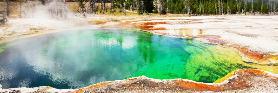 Yellowstone