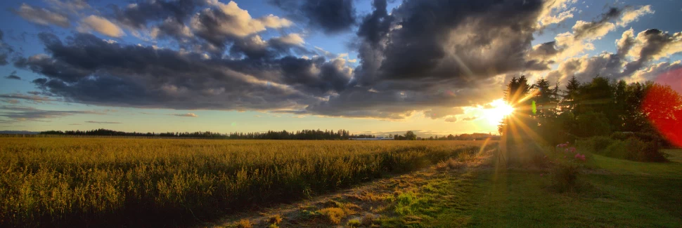 Willamette Valley
