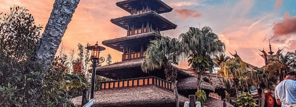 Disney's Animal Kingdom Theme Park