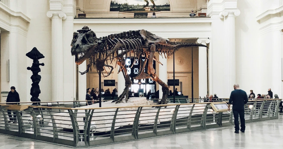 Best 10 Things To Do In Chicago USA