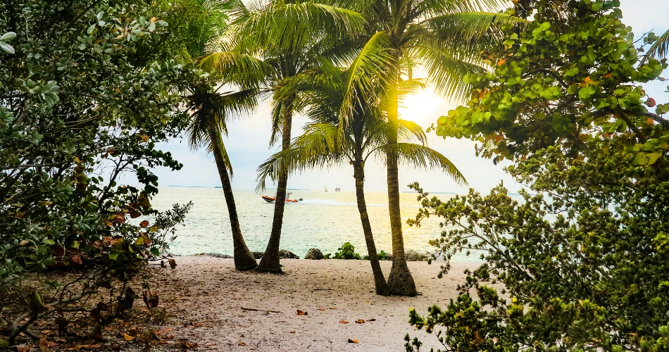 10 Best Beaches in the Florida Keys