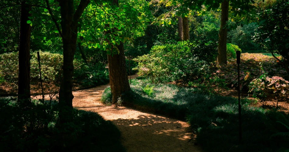 10 Best Things to Do for Couples in Houston, Texas