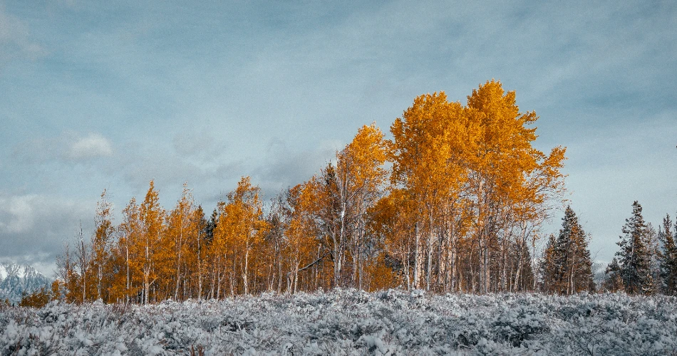 9 Romantic Winter Weekend Getaways in the U.S.