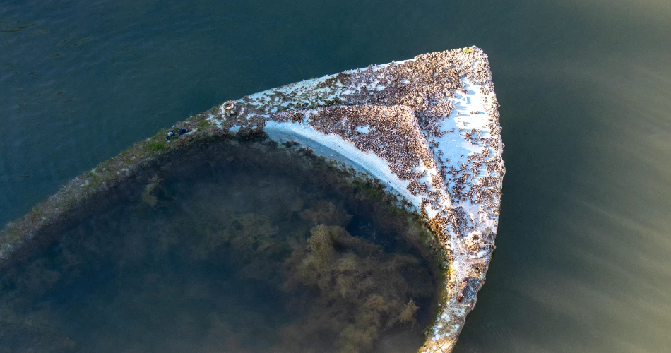 10 Thrilling Underwater Shipwrecks to See Across the USA