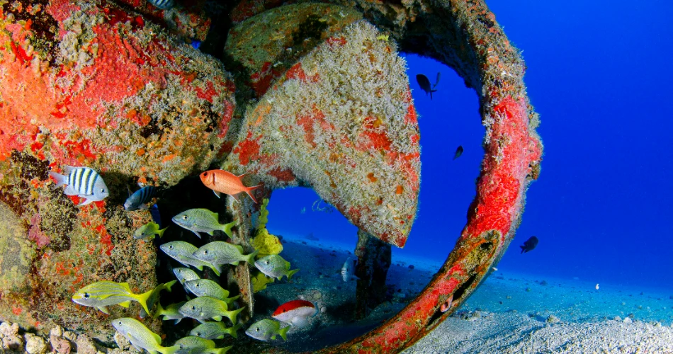 10 Thrilling Underwater Shipwrecks to See Across the USA