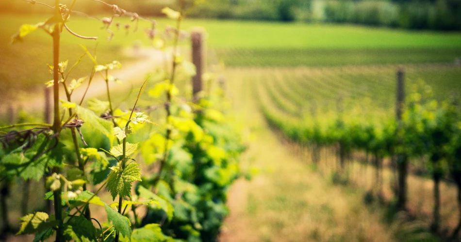 5 Easy Day Trips from Lynwood