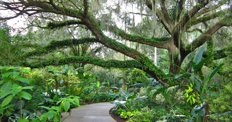 10 Things to Do Besides Theme Parks in Orlando