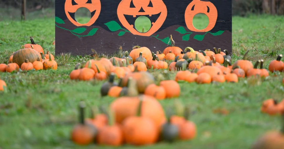 Halloween In NYC 2024: Everything You Need to Know