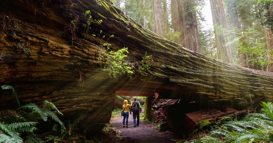 The Most Spectacular Landscapes of America