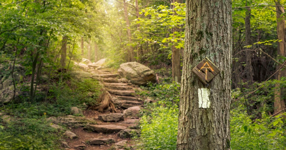 8 Best Hiking Spots near NYC for Scenic Trails