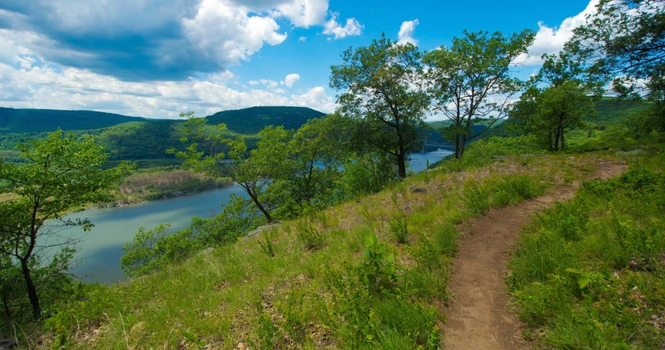 8 Best Hiking Spots near NYC for Scenic Trails