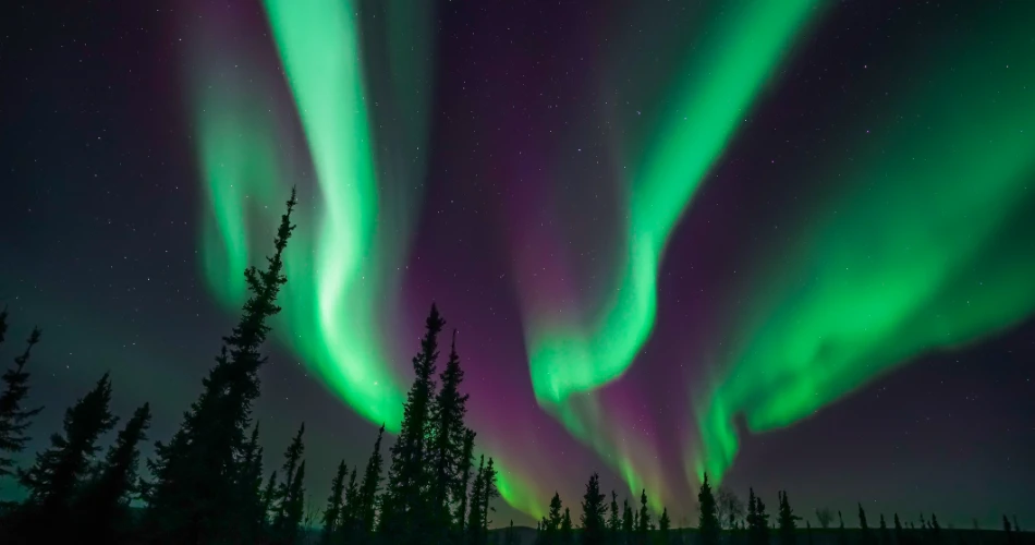 How to See the Northern Lights in Alaska