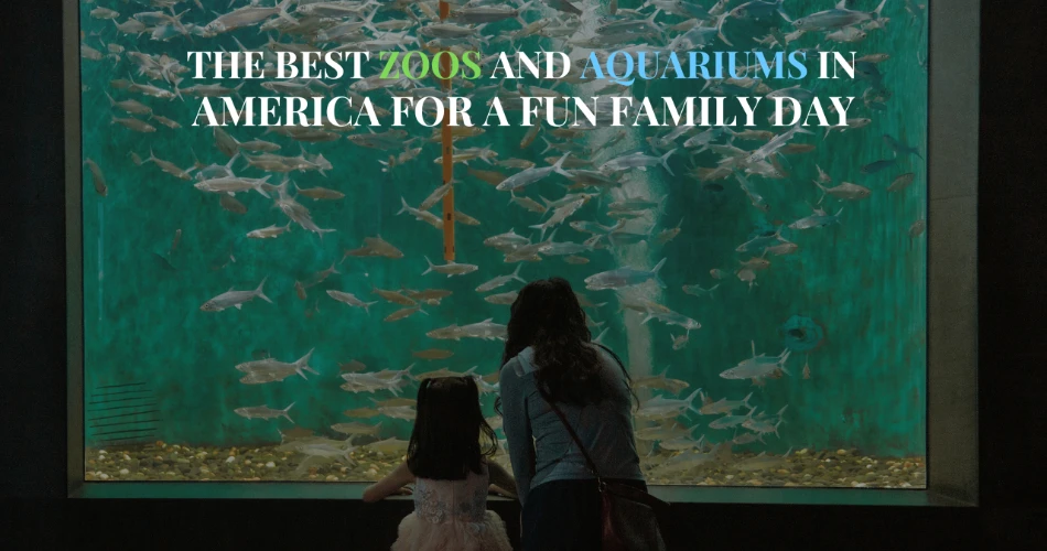 The Best Zoos and Aquariums in America for a Fun Family Day