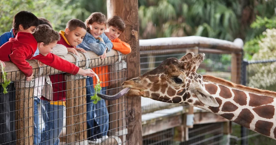 The Best Zoos and Aquariums in America for a Fun Family Day