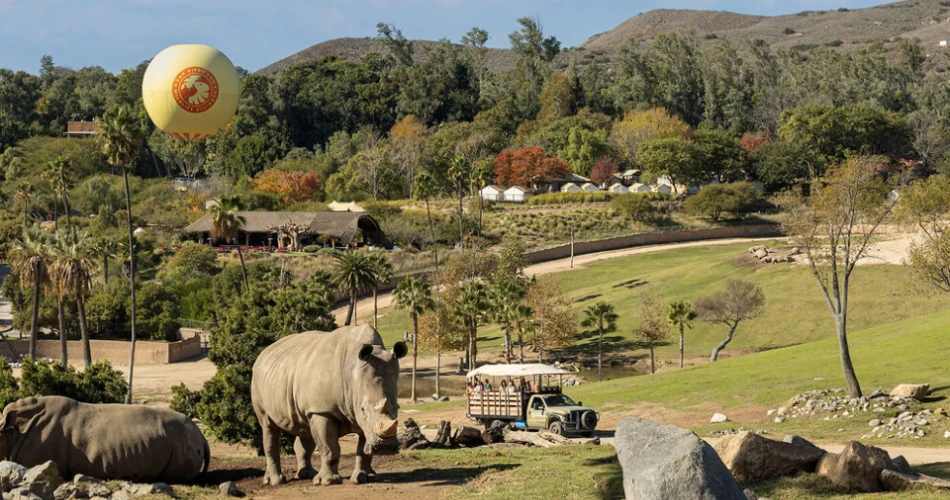 The Best Zoos and Aquariums in America for a Fun Family Day