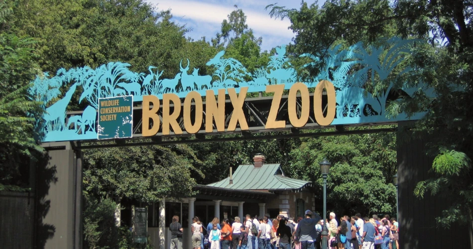 The Best Zoos and Aquariums in America for a Fun Family Day