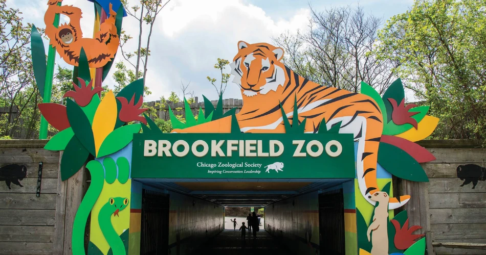 The Best Zoos and Aquariums in America for a Fun Family Day