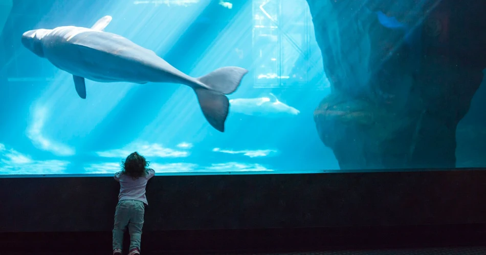 The Best Zoos and Aquariums in America for a Fun Family Day