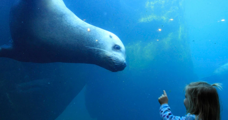 The Best Zoos and Aquariums in America for a Fun Family Day