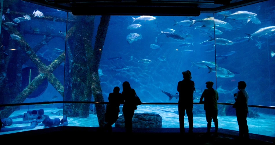 The Best Zoos and Aquariums in America for a Fun Family Day