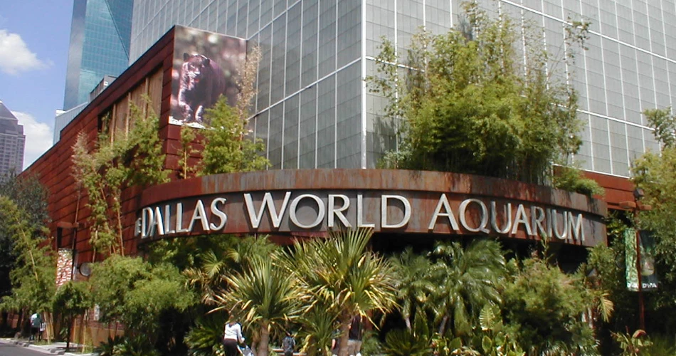 A Complete Dallas Travel Guide 2025