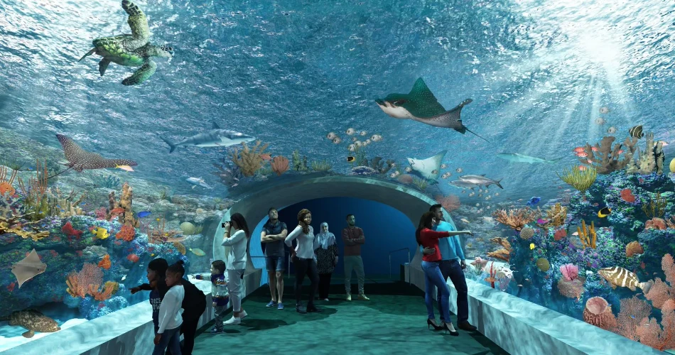 Chicago Travel Guide 2025: Top Attractions, Things to Do, Dining, and More!