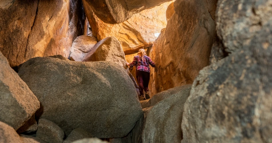 A First-Time Guide To Joshua Tree National Park